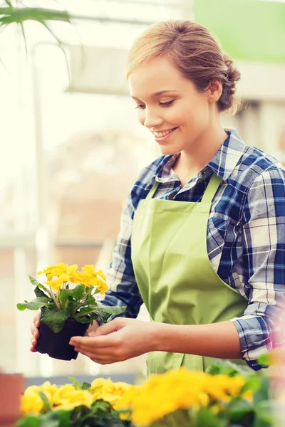 Glad kvinna med blommor i växthus — Stockfoto