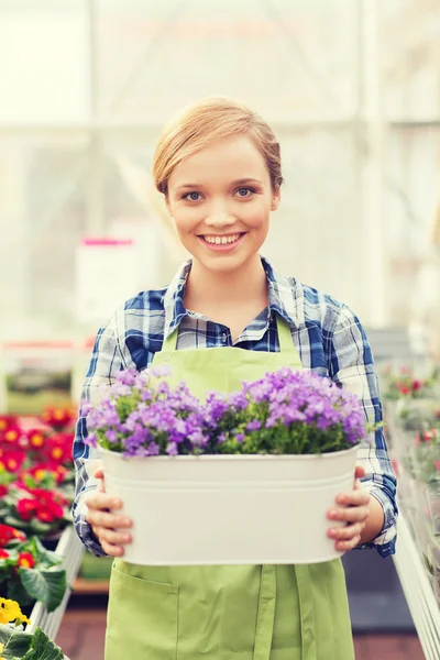 Mujer feliz sosteniendo flores en invernadero — Foto de Stock