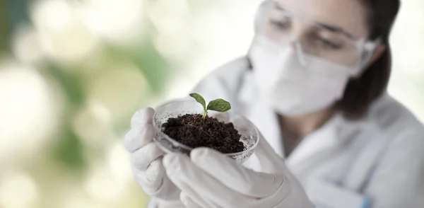 Primer plano de científico con planta y suelo — Foto de Stock