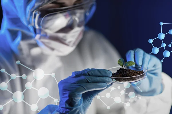 Close up of scientist with plant and soil in lab — Stock Photo, Image