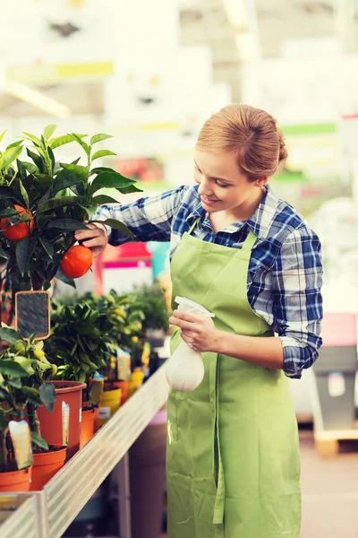 Lycklig kvinna röra mandarin träd i växthus — Stockfoto