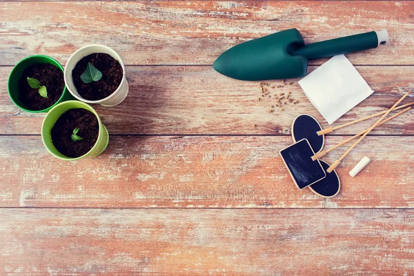 Close up of seedlings, trowel and nameplates — Stock Photo, Image