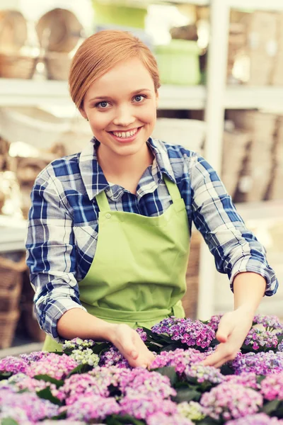 Happy woman taking care of flowers in greenhouse — Stock Photo, Image