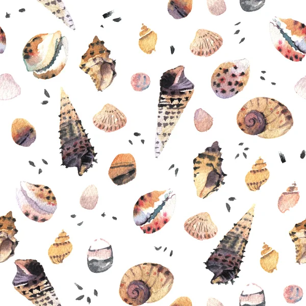 조개 수채화 패턴 — 스톡 사진