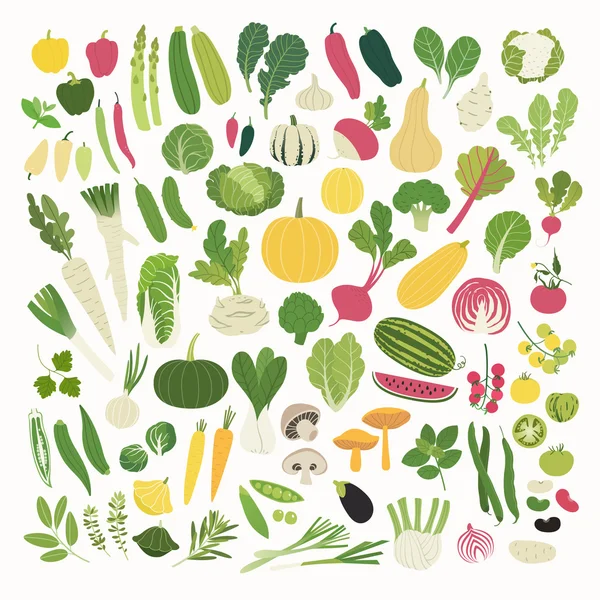 Gemüse und Kräuter — Stockvektor