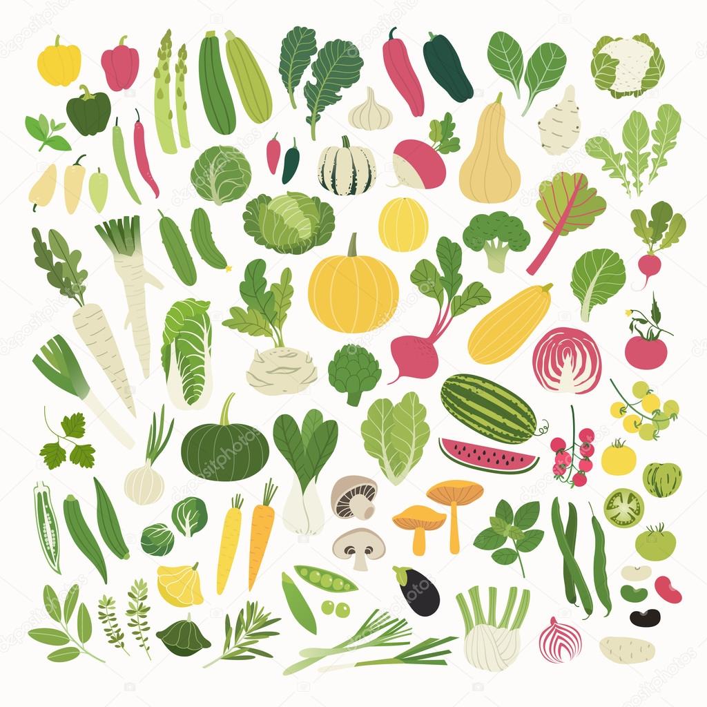 Vegetables and Herbs