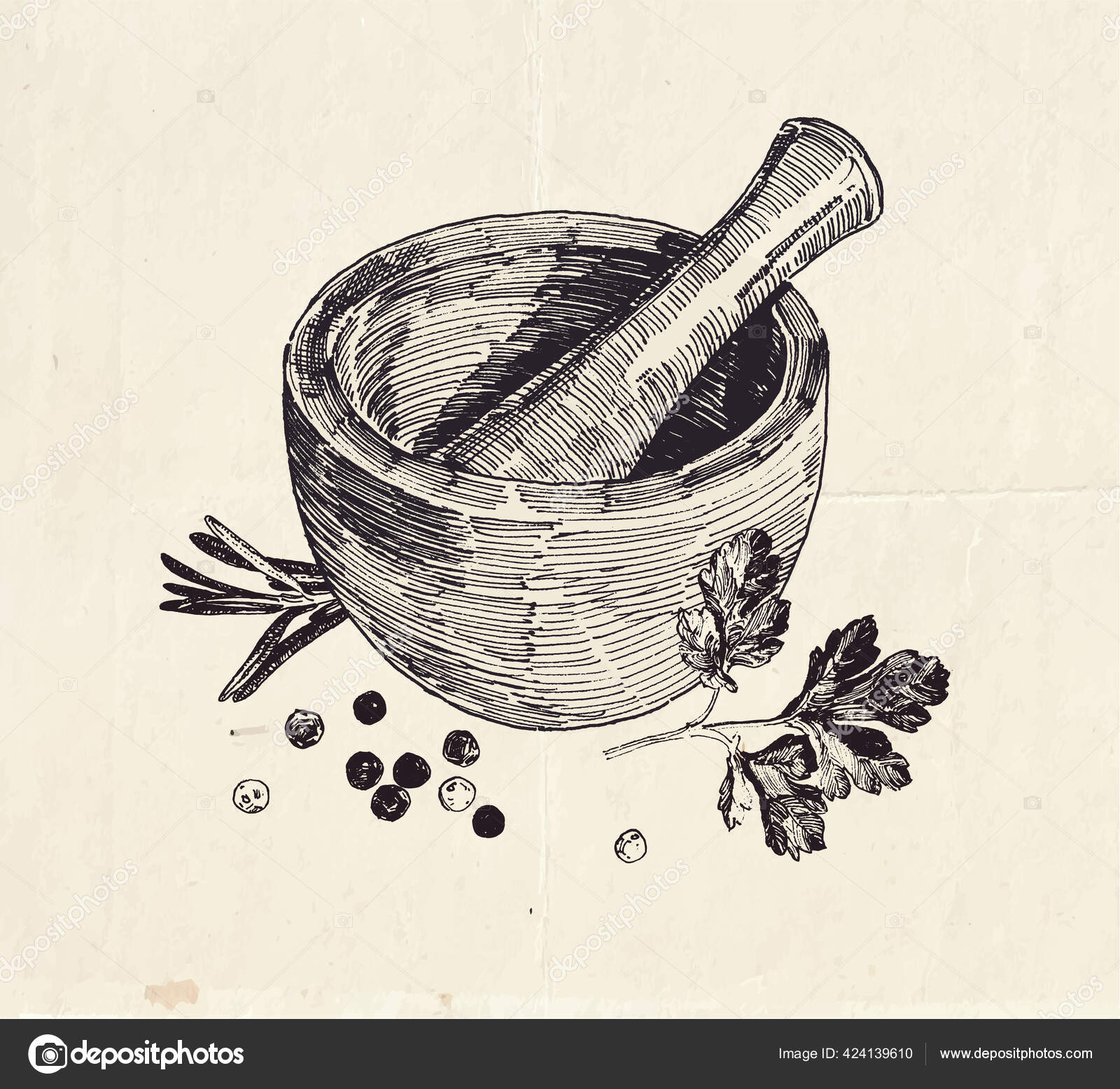 Hand Drawn Illustration Ceramic Mortar Pestle Parsley Leaves Black