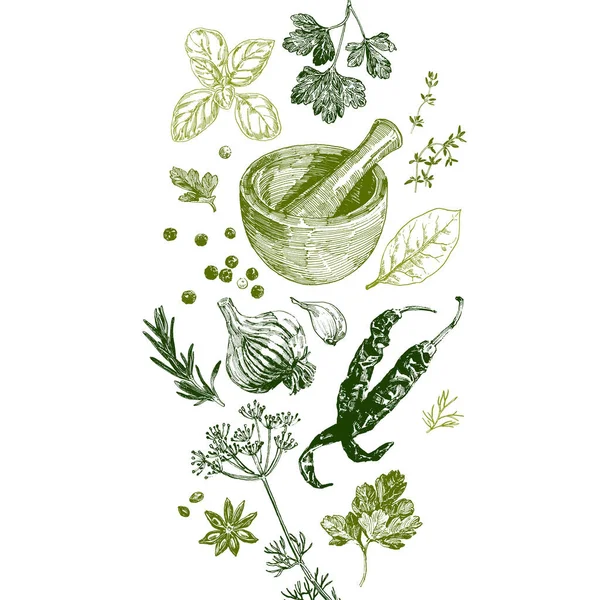 Conjunto Hierbas Especias Plantilla Diseño Culinario — Vector de stock