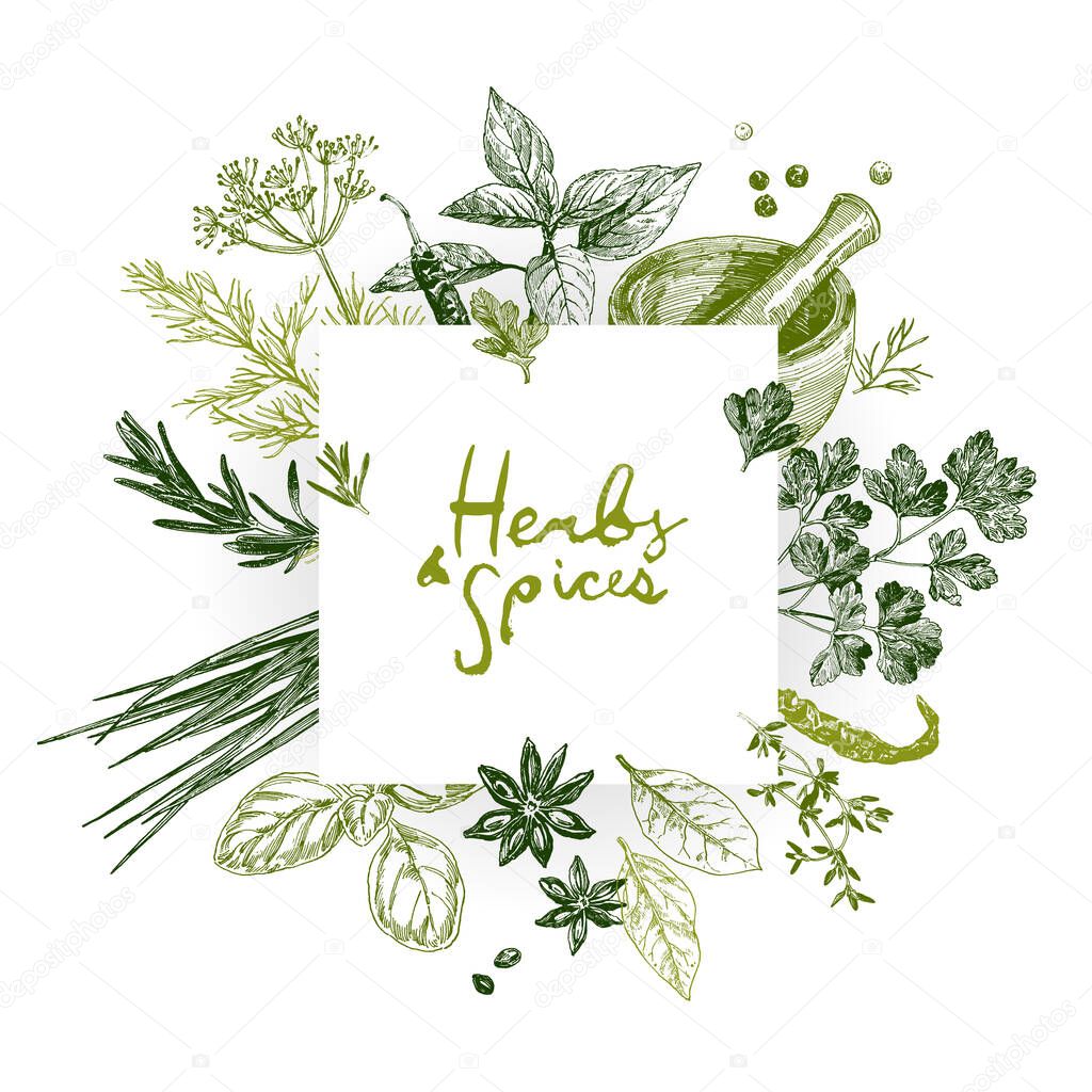 Herbs and spices set, culinary design template