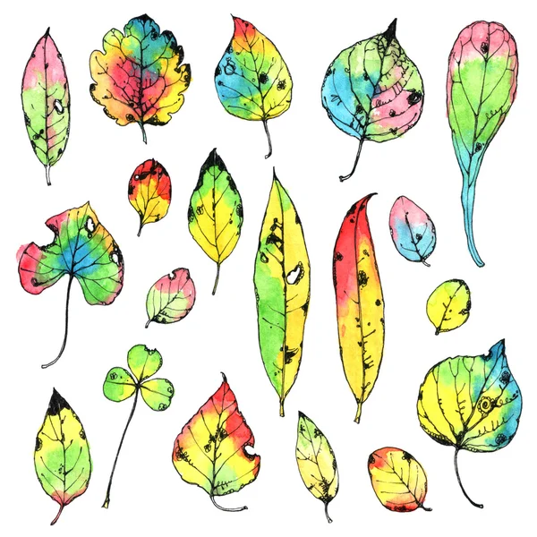 Watercolor hand drawn autumn leaves — Stok Foto