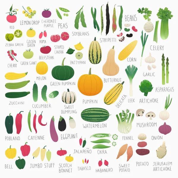 Volumen de alimentos.2: Verduras — Archivo Imágenes Vectoriales