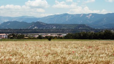 buğday alan Fransa'nın dağlarında