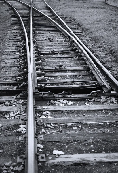 Linha de caminho de ferro que cruza imagem em preto e branco — Fotografia de Stock