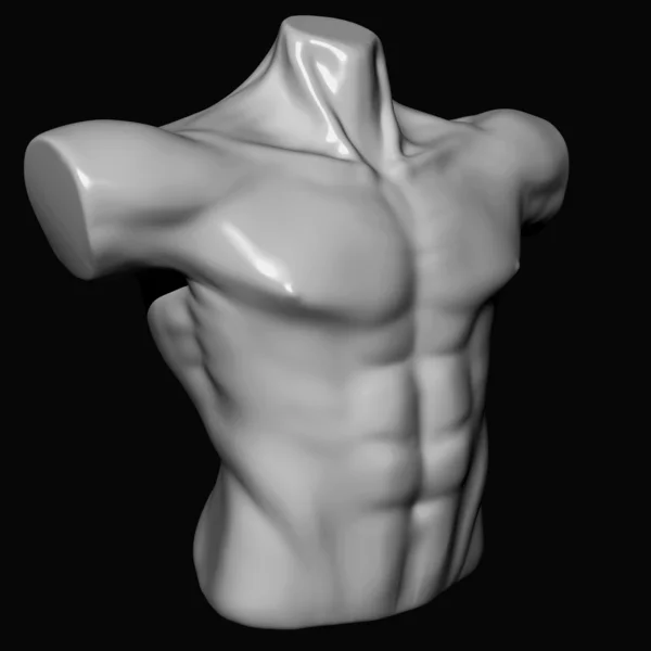 Torso — Stock Photo, Image