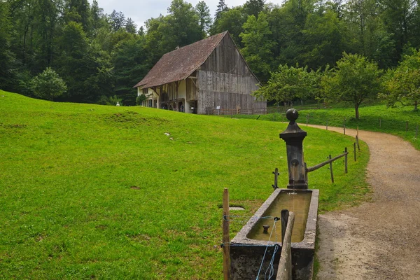 Ballenbergin museo, Sveitsi — kuvapankkivalokuva