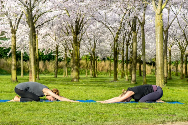 Mujeres en pose de arco — Foto de Stock