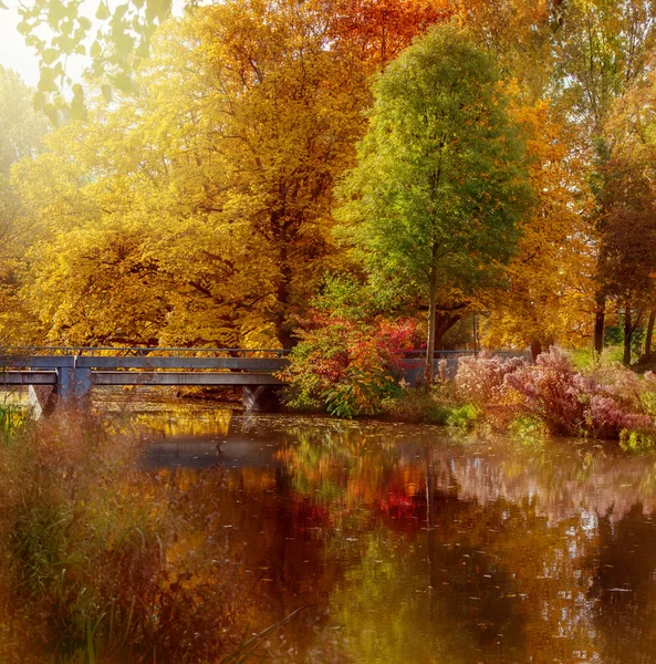 アムステルダムで秋の公園 — ストック写真