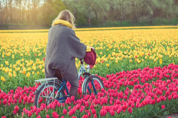 Female riding her bike through tulip fields — Stock Photo, Image