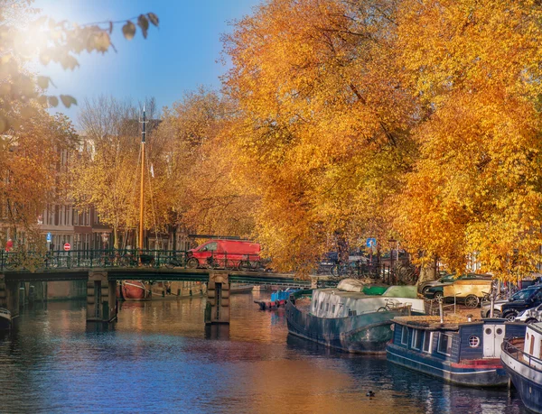 Amsterdam en automne — Photo