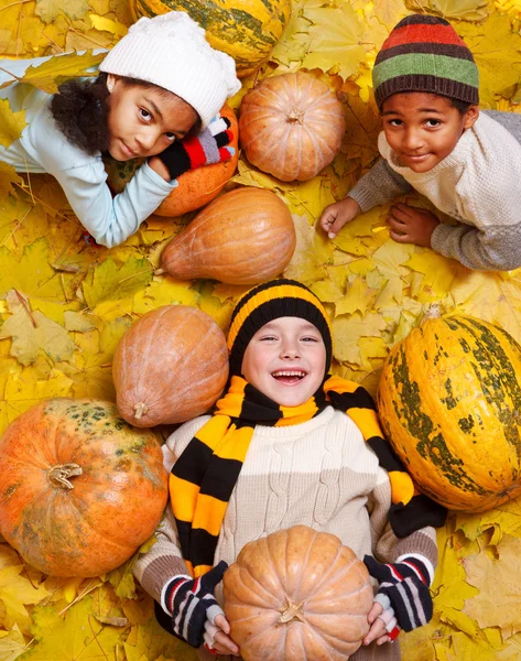 Τα παιδιά μεταξύ των φύλλων κίτρινο και πορτοκαλί pumpkings — Φωτογραφία Αρχείου