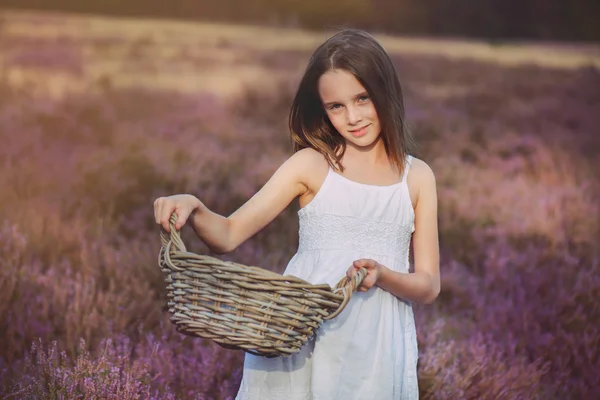 Girl  in a heather meadow — Stock Photo, Image