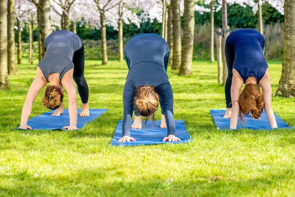 Tre flickor står i en grundläggande yogaställning — Stockfoto