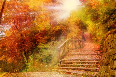 Parktaki taş merdivenler.