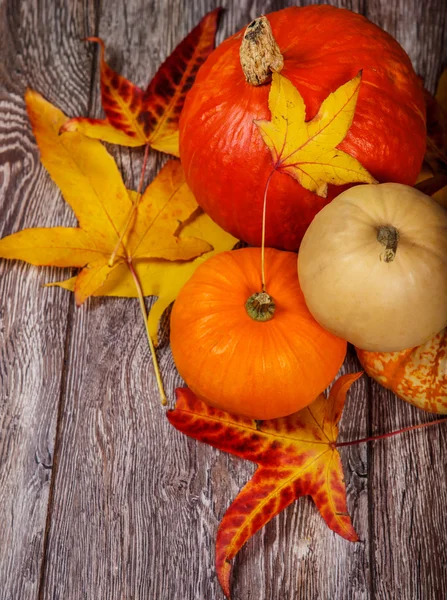 October pumpkins decoration — Stock Photo, Image