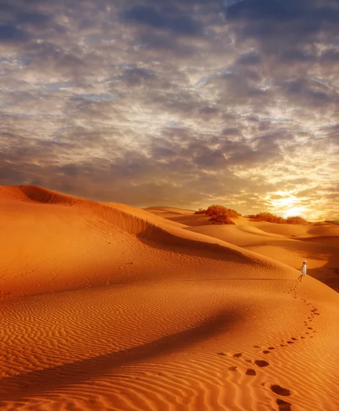 Поле піщаних дюн на заході сонця — стокове фото