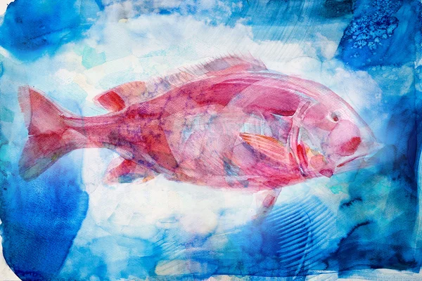 红鲷鱼 snapper — 图库照片