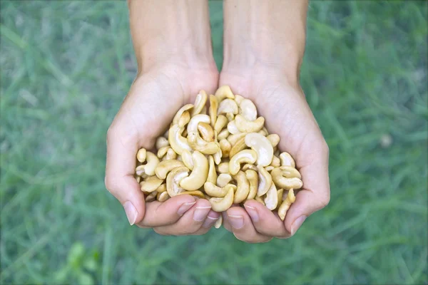 Cashewnüsse — Stockfoto