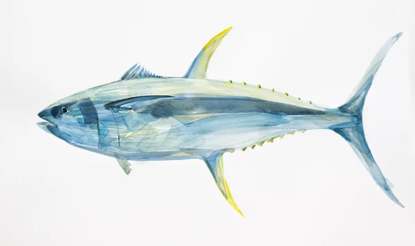 Watercolor tuna — Stock Photo, Image