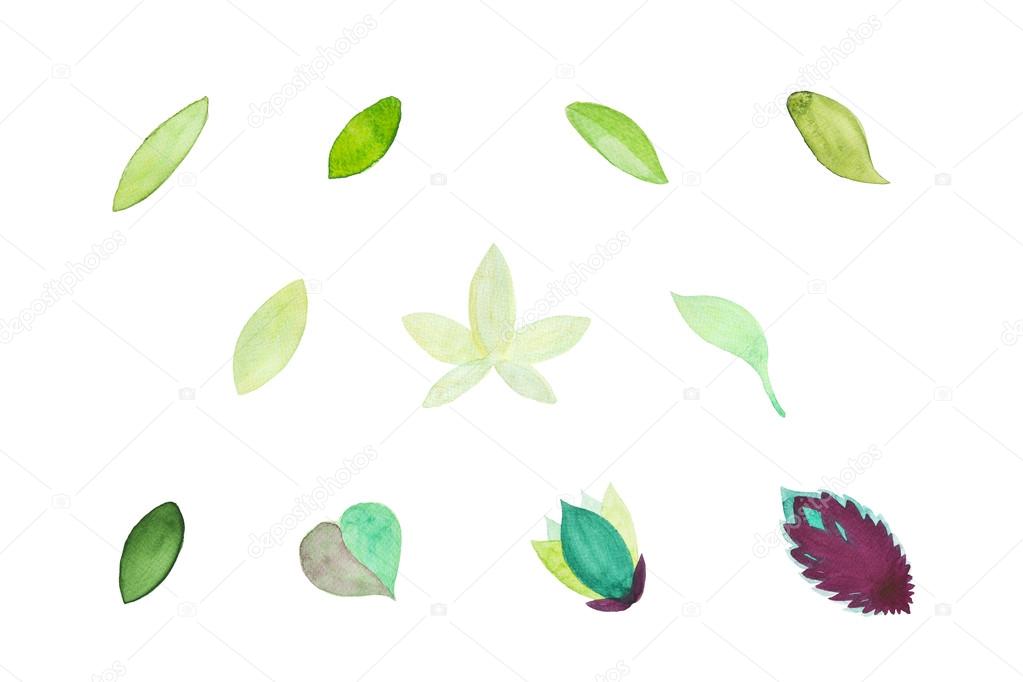watercolor leaves set