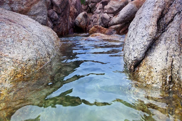 Fondo natural — Foto de Stock