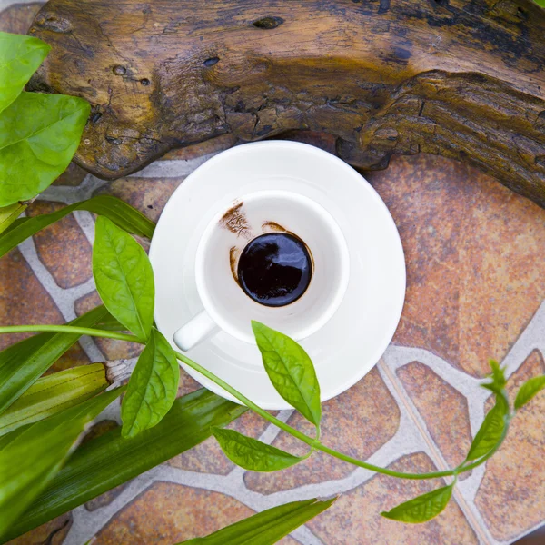 Coffee cup — Stock Photo, Image