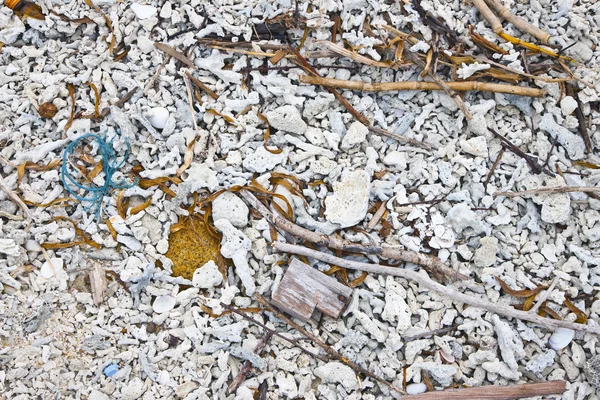 Морской мусор — стоковое фото