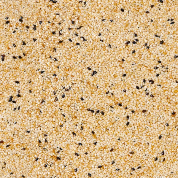 Sesame texture — Stock Photo, Image