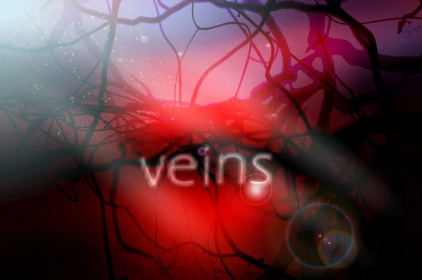 Blood vessels vector illustration — Stock Vector