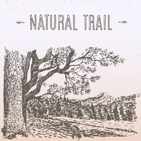 Naturlig trail illustration — Stock vektor