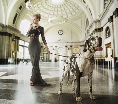 Akıllı genç bayan Wit köpek yürüyüş