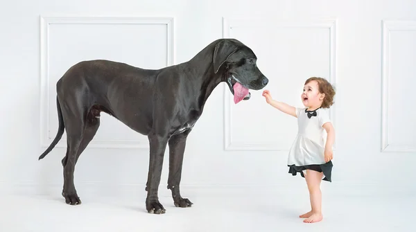 Roztomilá holčička hraje s obrovský pes — Stock fotografie
