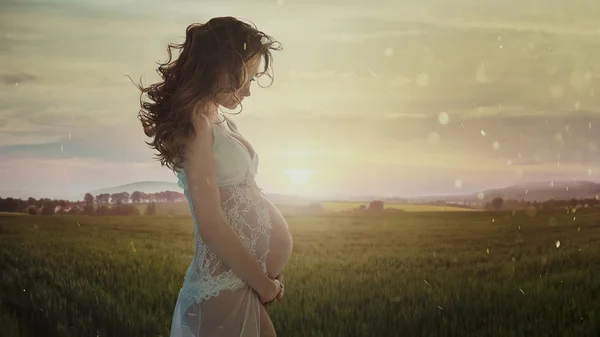 Mulher grávida bonita no campo de trigo Fotografia De Stock