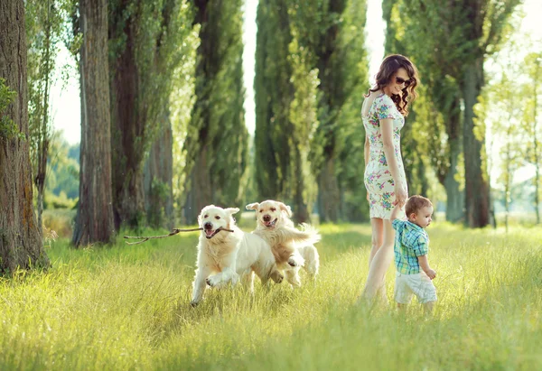 Anne ve köpekler ile oynayan çocuk — Stok fotoğraf