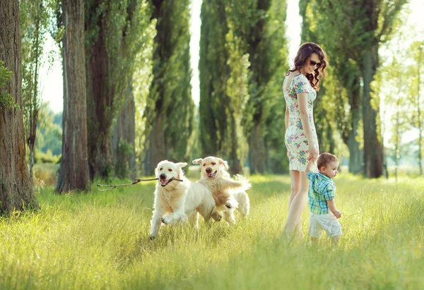 Criança brincando com mamãe e cães — Fotografia de Stock