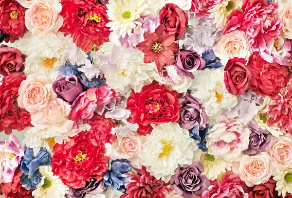 Mnóstwo kolorowych kwiatów — Zdjęcie stockowe
