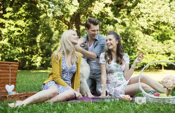 Tres amigos durante el picnic — Foto de Stock