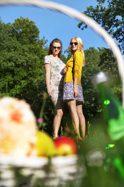 Fijne schot van de twee vriendinnen in het park — Stockfoto