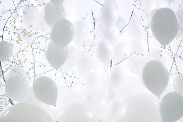 사진 예술 백색 ballon 배경 — 스톡 사진