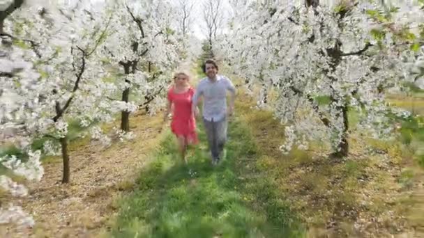 Pareja alegre disfrutando del tiempo libre en el huerto — Vídeos de Stock