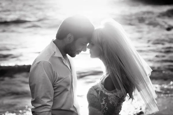 Retrato en blanco y negro de jóvenes recién casados — Foto de Stock